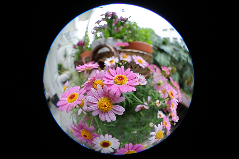 Canon RF 7-14mm F2.8-3.5L Fisheye STM 評測報告｜當圓周遇上對角線、探索 190° 的極限視覺張力！
