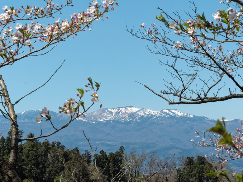 日本東北賞櫻六日遊(omsystem OM3+OM1II)