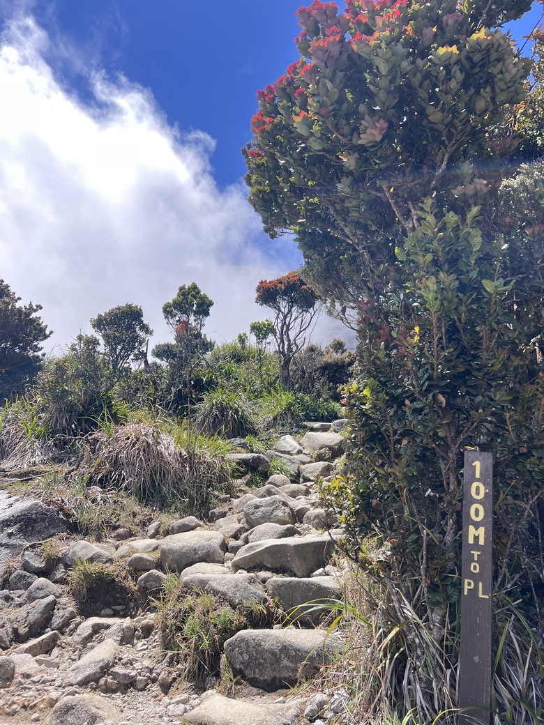 一神, 二玉, 三富士山~ 1,2,3準備出國去爬山 ! 3,2,1 自我挑戰好得意 !