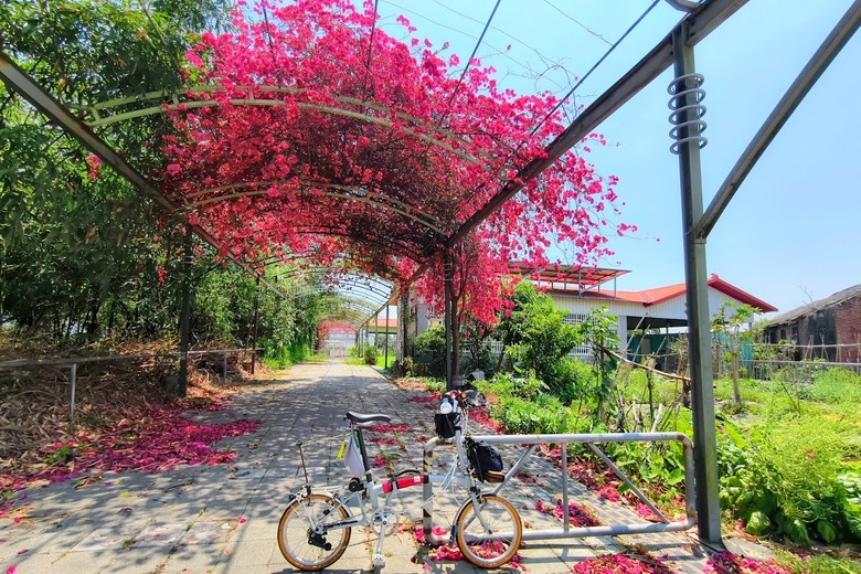 田中太保|大林→嘉油→保鹿 Bike way|騎小布縱貫線漫遊四縣市