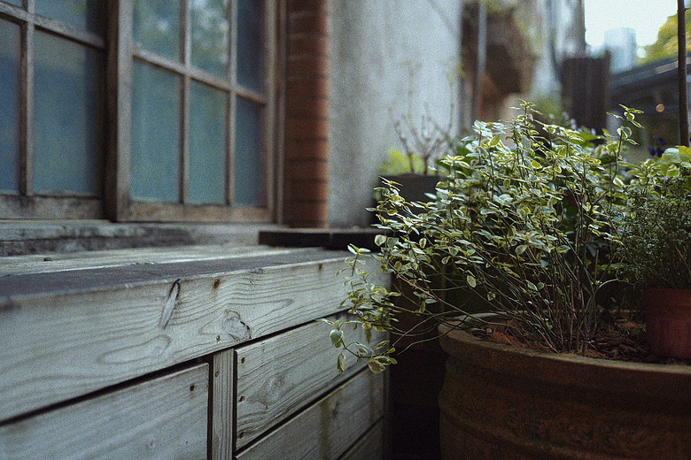 PANASONIC S9 | 深光 sg-image 35mm f2.2 | L mount 鏡頭 | 簡易開箱 | LUT隨拍圖多 | 暨S9手柄分享