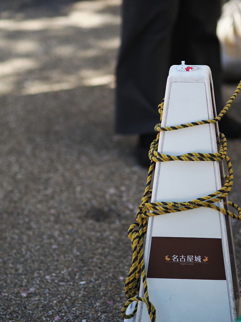 2026 OM1 關西賞櫻 見遊記