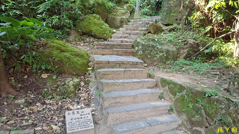 【郊山走走】輕鬆健行內湖7連峰、再賞大湖公園落羽松