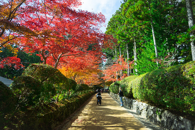 關西空港-和歌山-高野山-堺市