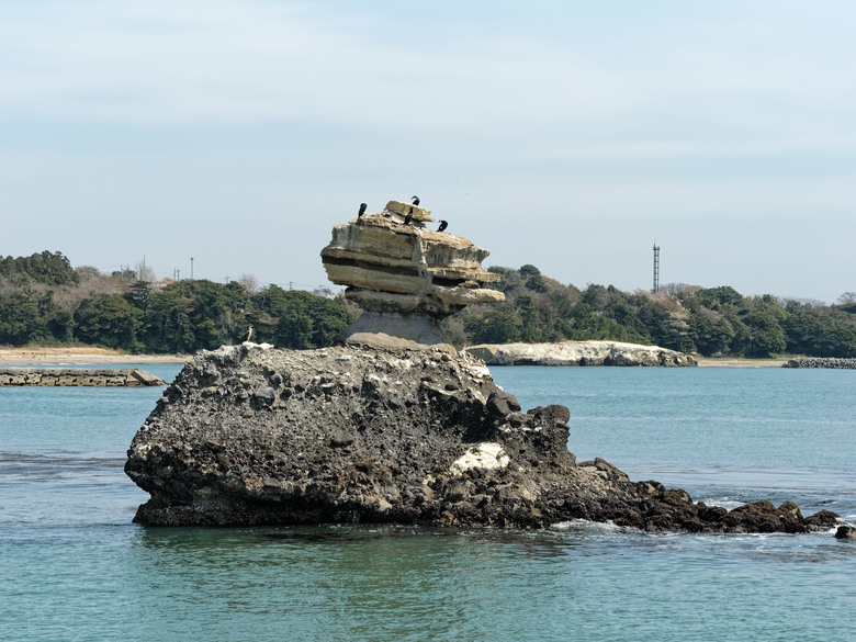 日本東北賞櫻六日遊(omsystem OM3+OM1II)