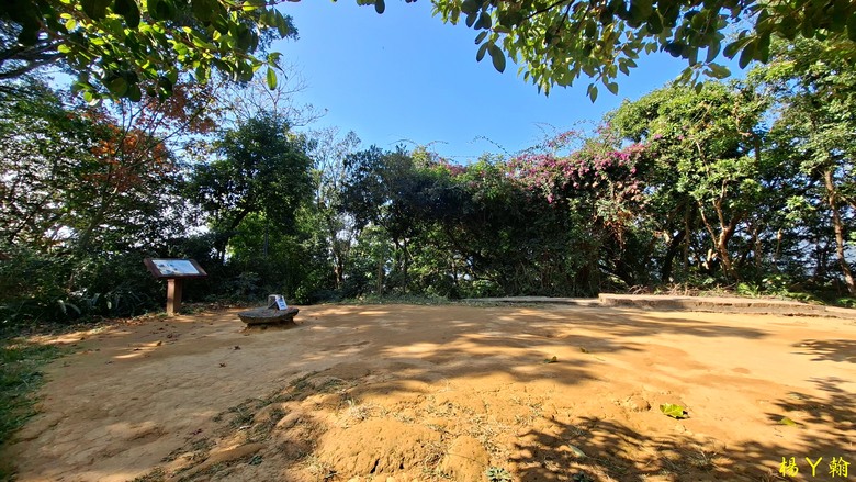 【郊山走走】輕鬆健行內湖7連峰、再賞大湖公園落羽松