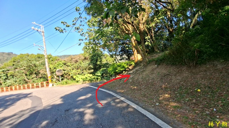 【郊山走走】輕鬆健行內湖7連峰、再賞大湖公園落羽松