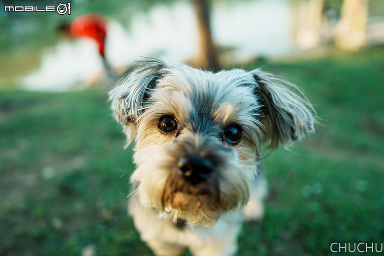 Sony A7C2 與 ZEISS Batis 2/25 的全家出遊記