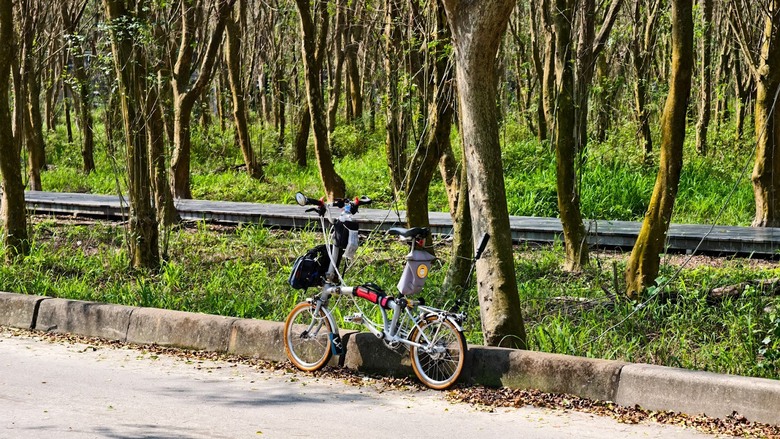 田中太保|大林→嘉油→保鹿 Bike way|騎小布縱貫線漫遊四縣市