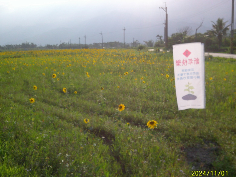 2026/4/12-15 花東五小橫初體驗，KHS club D City Tour