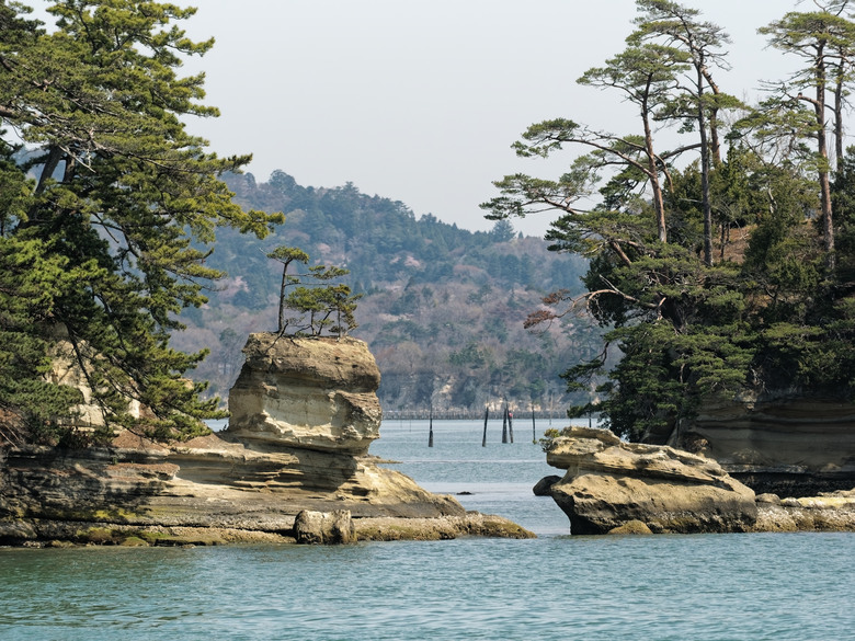 日本東北賞櫻六日遊(omsystem OM3+OM1II)