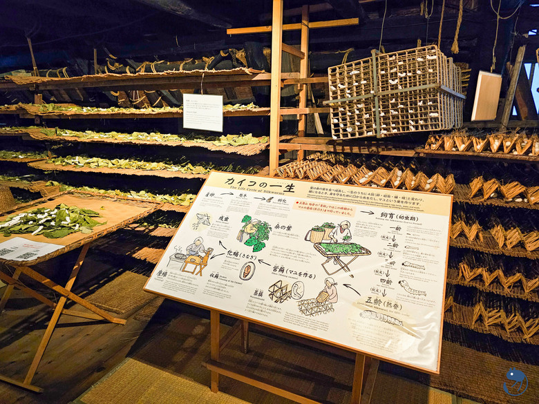 日本-富山南礪|*深山中的世外桃源* 越中五箇山相倉合掌村 相倉合掌造り集落