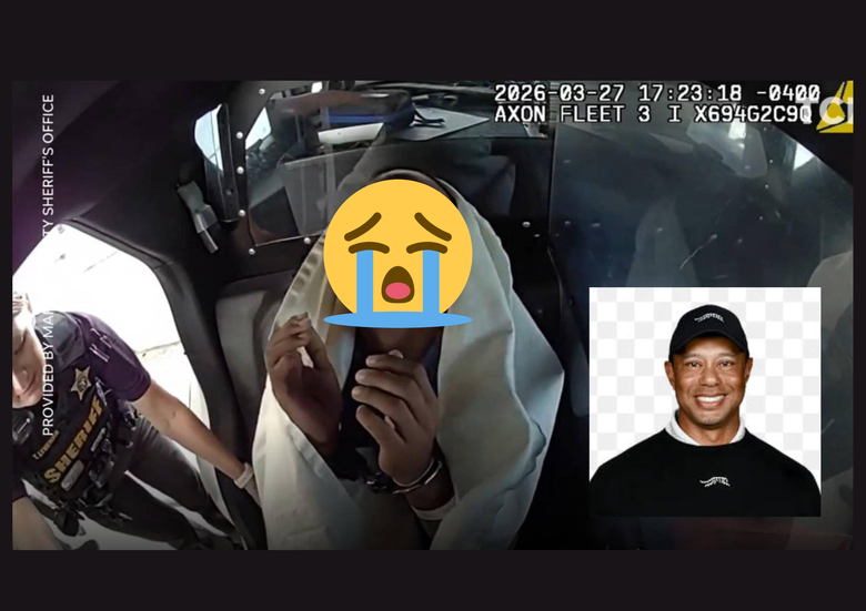 老虎車禍現場執法警員側錄影片曝光，警車上竟被要求做"這件事"?!