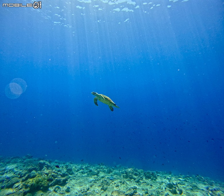 馬爾地夫 Club Med 卡尼島｜親子旅遊首選！育兒倦怠就來全包式度假村回血一下～
