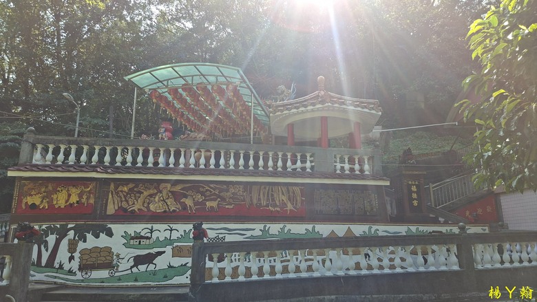 【郊山走走】輕鬆健行內湖7連峰、再賞大湖公園落羽松