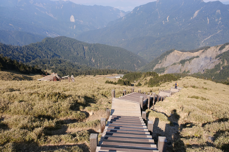 【合歡山東峰】絕美的登山步道與高山杜鵑花