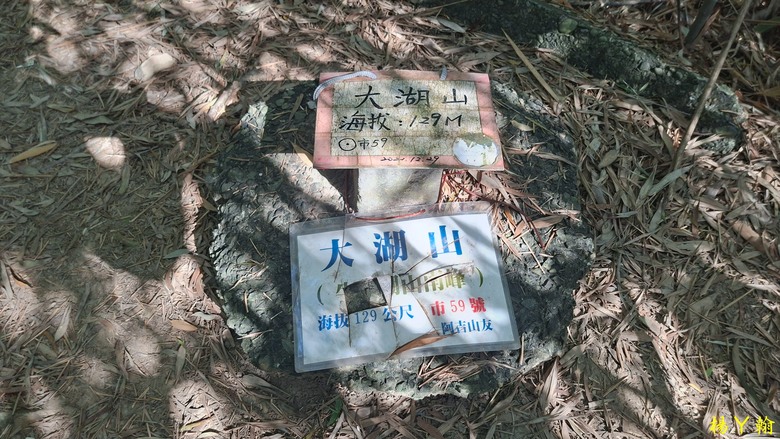 【郊山走走】輕鬆健行內湖7連峰、再賞大湖公園落羽松
