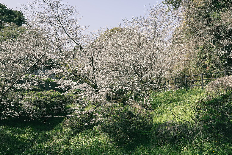 九州福岡熊本5日遊 R50V