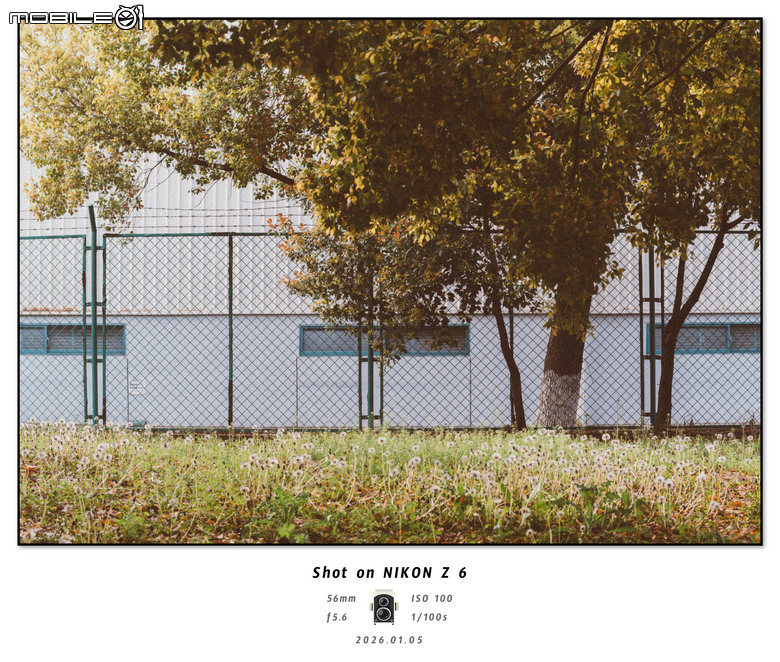 Z6 + 24-120mm F4随拍