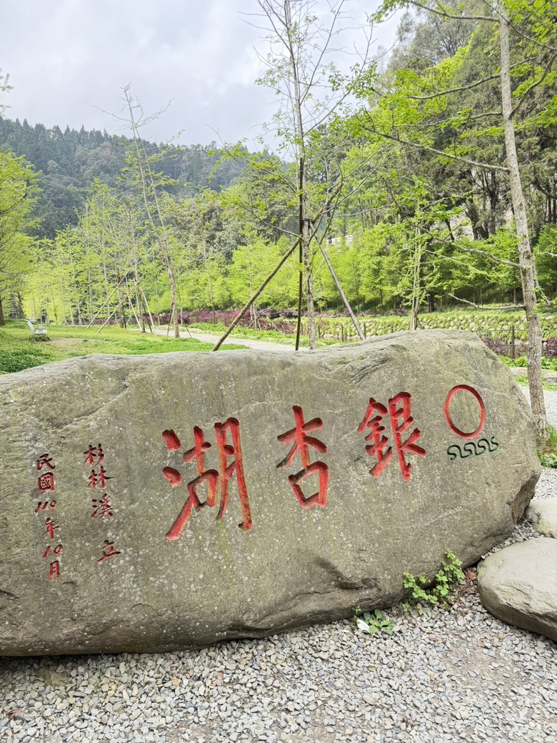 原本小失望,最後卻很喜歡|杉林溪5小時12公里慢走紀錄