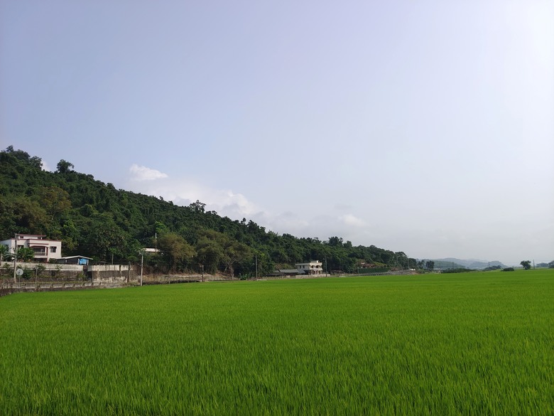 Muhai Ludun 山上的路－卓溪山林環繞路與橫斷海岸山脈二部曲