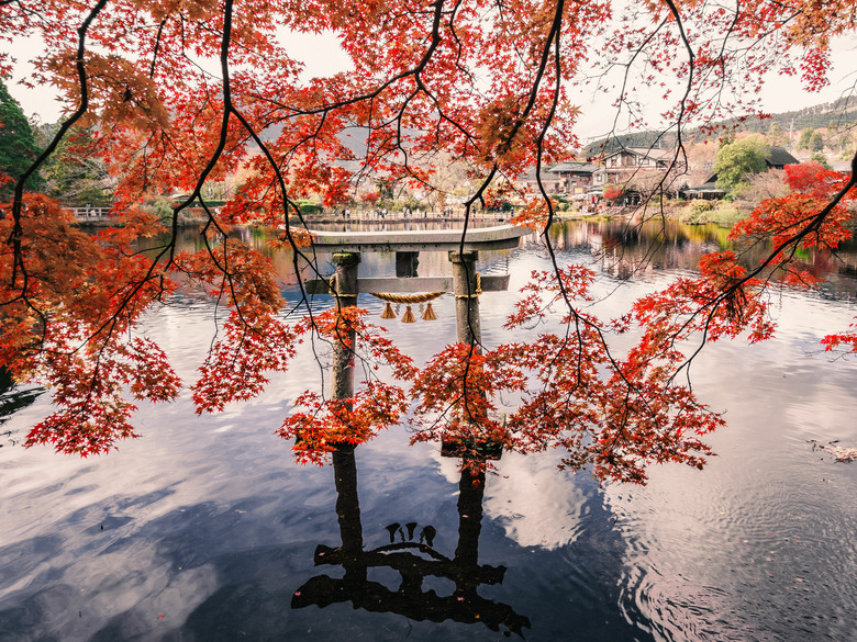 九州之旅 上 OM3+12-100 F4