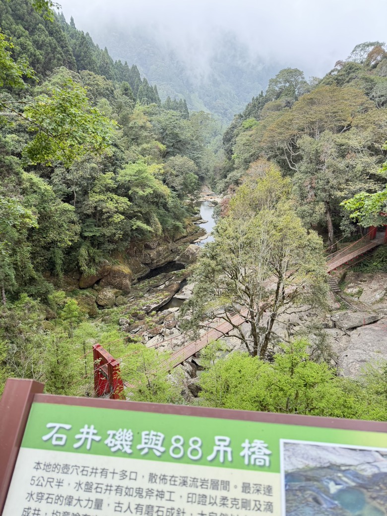 原本小失望,最後卻很喜歡|杉林溪5小時12公里慢走紀錄