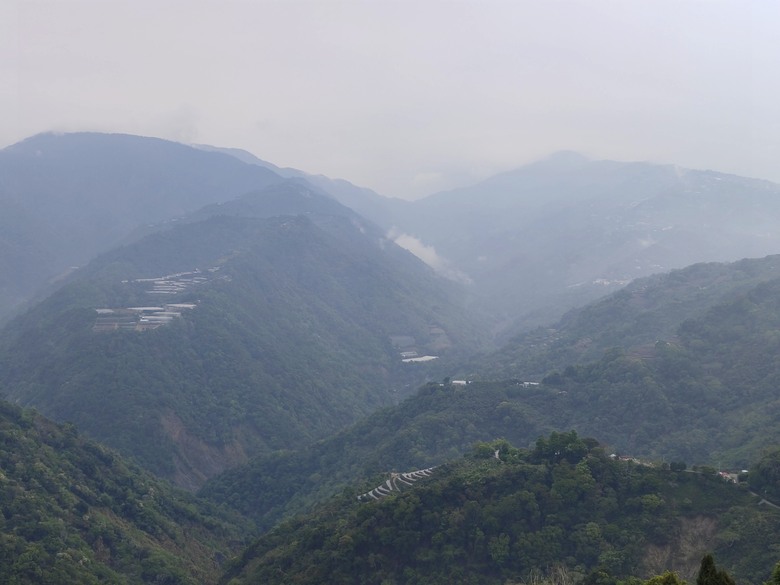 台灣異域穿越（二）－－武界曲冰與松林-高峰巷-霧社