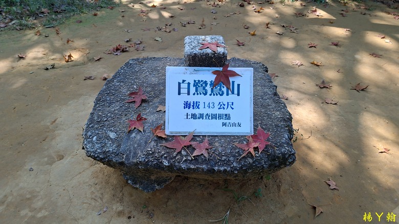 【郊山走走】輕鬆健行內湖7連峰、再賞大湖公園落羽松