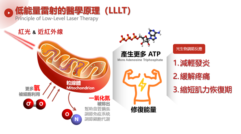 低能量雷射光療(LLLT)的醫學原理