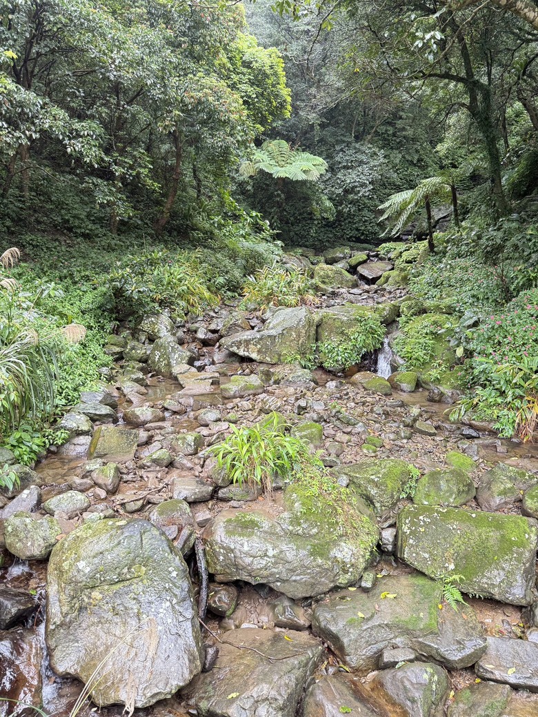 LOTTO REX2 動態防水高筒登山鞋實測!!