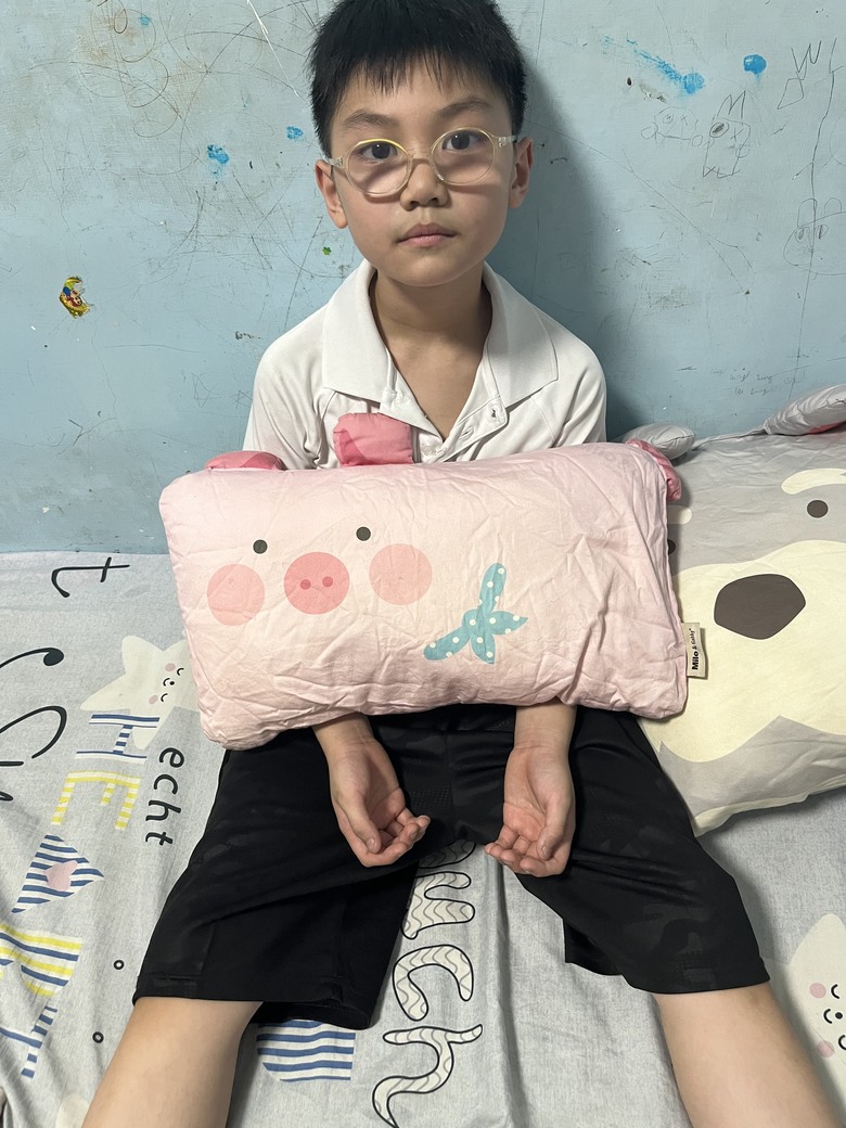 Milo&Gabby美國動物好朋友mini枕