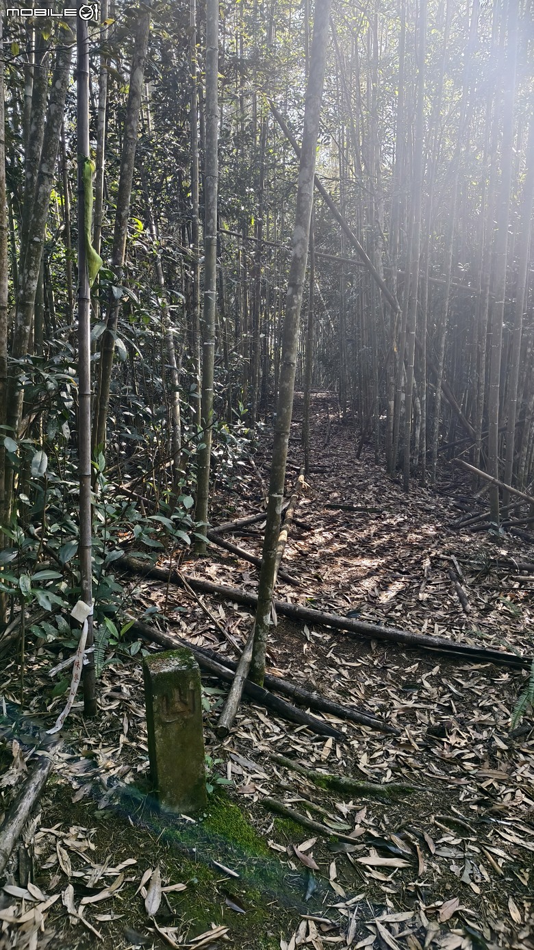 新竹冷門登山路線 | 滿滿竹林 |鬼澤山