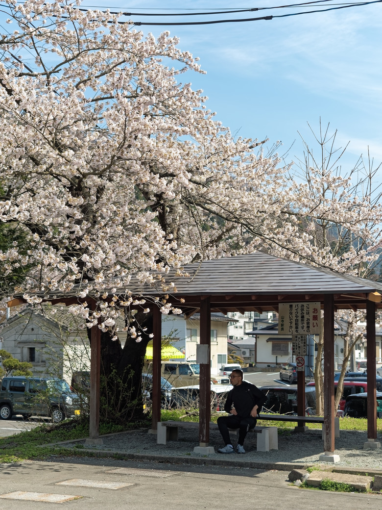 日本東北賞櫻六日遊(omsystem OM3+OM1II)