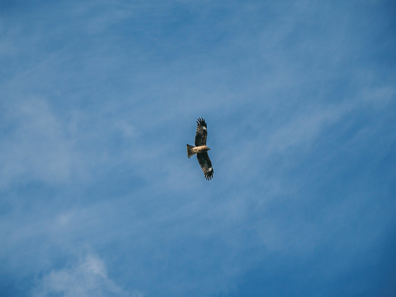 九州之旅 上 OM3+12-100 F4