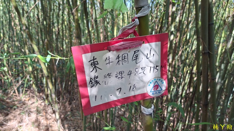【郊山走走】輕鬆健行內湖7連峰、再賞大湖公園落羽松