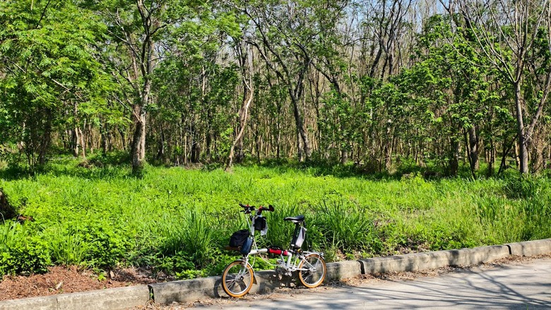 田中太保|大林→嘉油→保鹿 Bike way|騎小布縱貫線漫遊四縣市