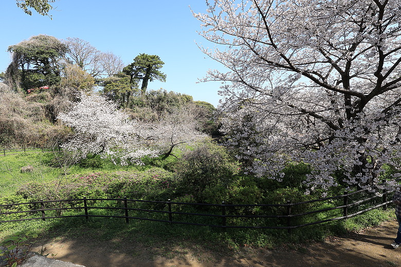 九州福岡熊本5日遊 R50V