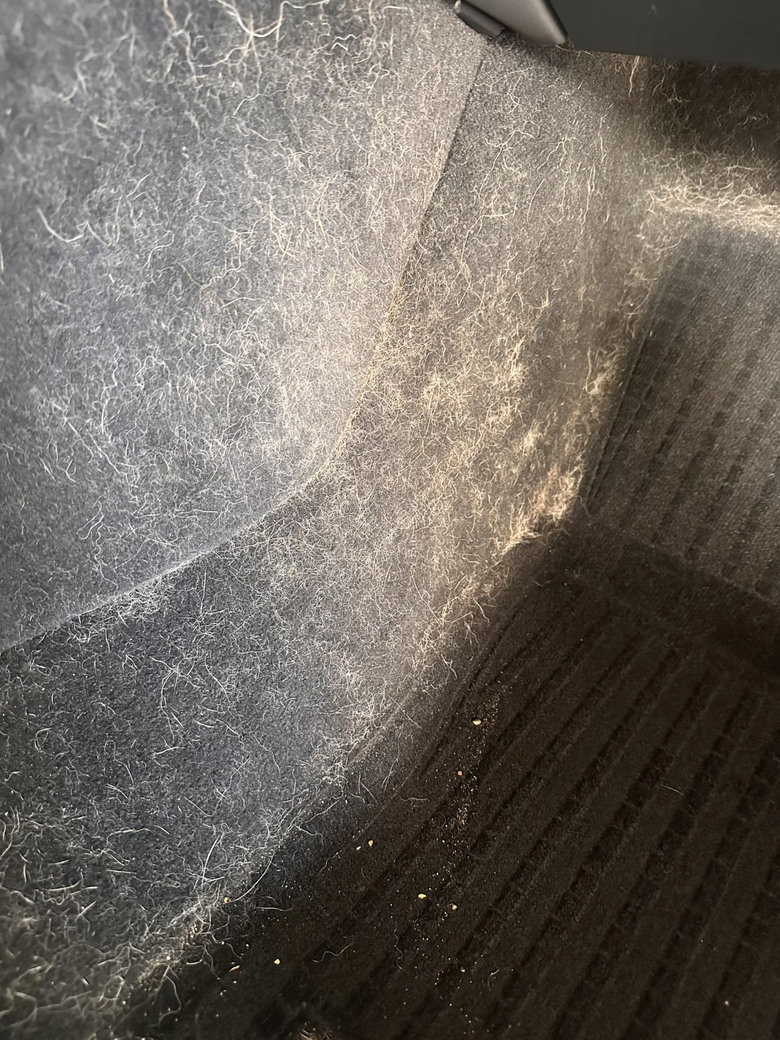 狗毛車變新車！台南內裝清洗＋特殊狗毛處理