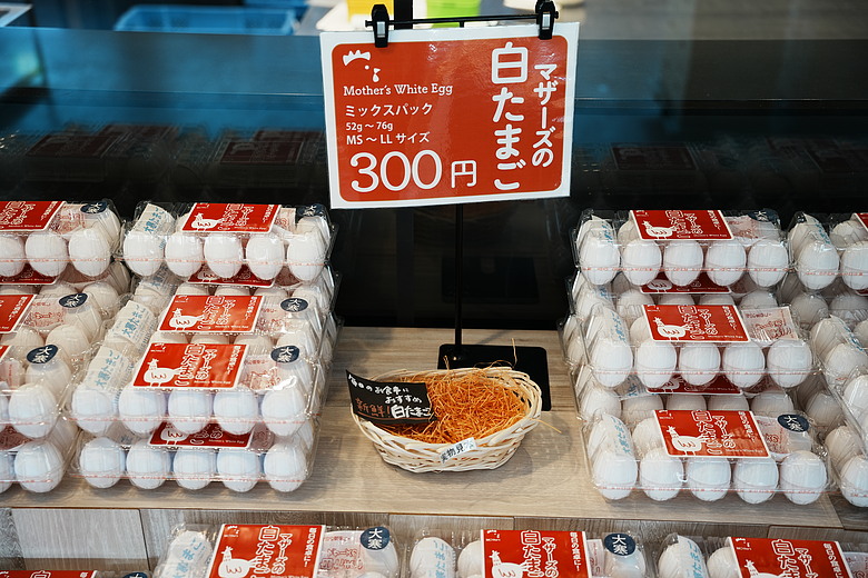 2026 北海道12天小蜜月 (下)『白老町隱藏景點、洞爺湖奢華湖景飯店 & 函館百萬夜景』