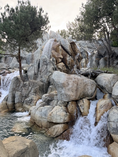 (2026 April) 🇺🇸 🏰 卅五年之後 再遊 狄斯耐樂園 Disneyland 🇺🇸👸🏻