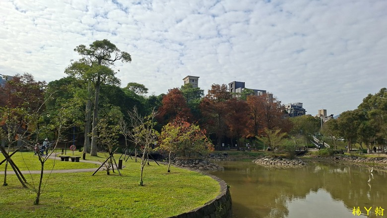 【郊山走走】輕鬆健行內湖7連峰、再賞大湖公園落羽松