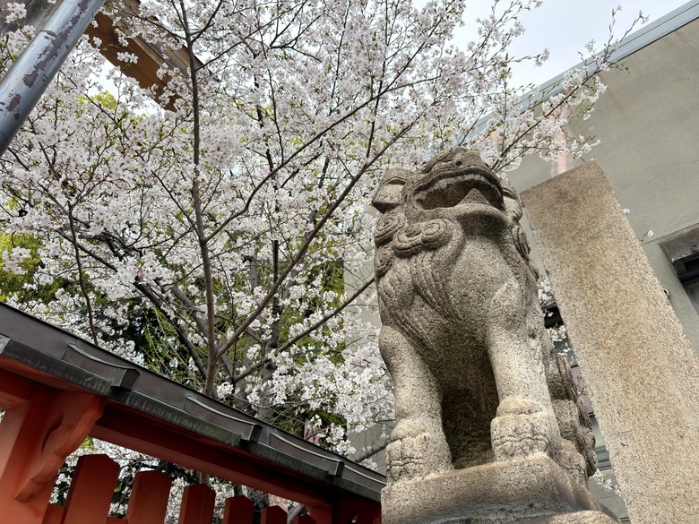 [分享]-iPhone 17 Pro Max 旅行隨手攝影體驗心得