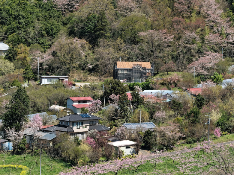 日本東北賞櫻六日遊(omsystem OM3+OM1II)