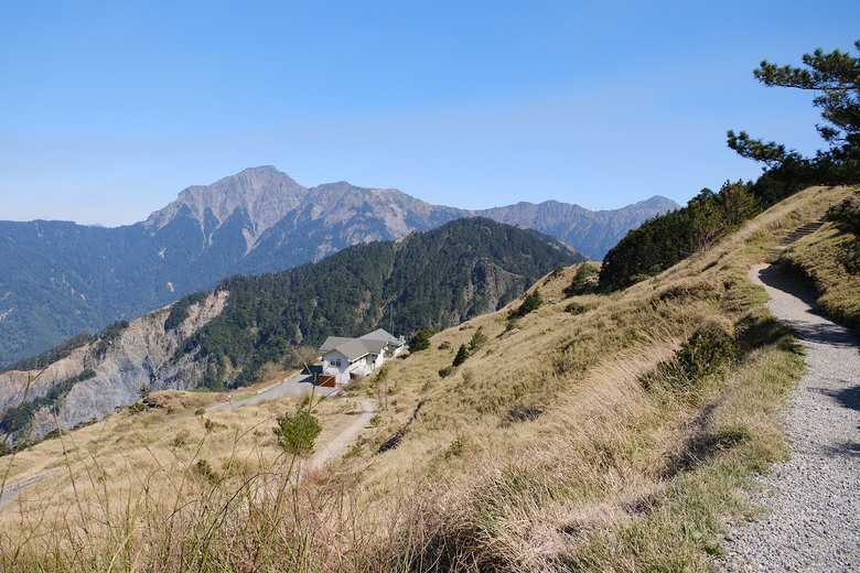 【合歡山東峰】絕美的登山步道與高山杜鵑花