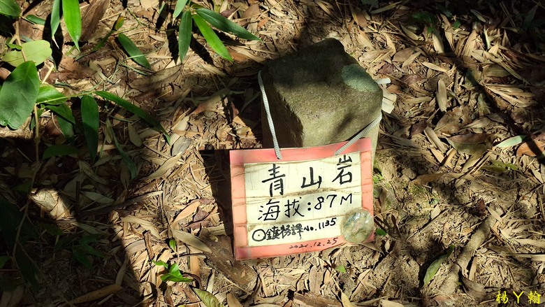【郊山走走】輕鬆健行內湖7連峰、再賞大湖公園落羽松