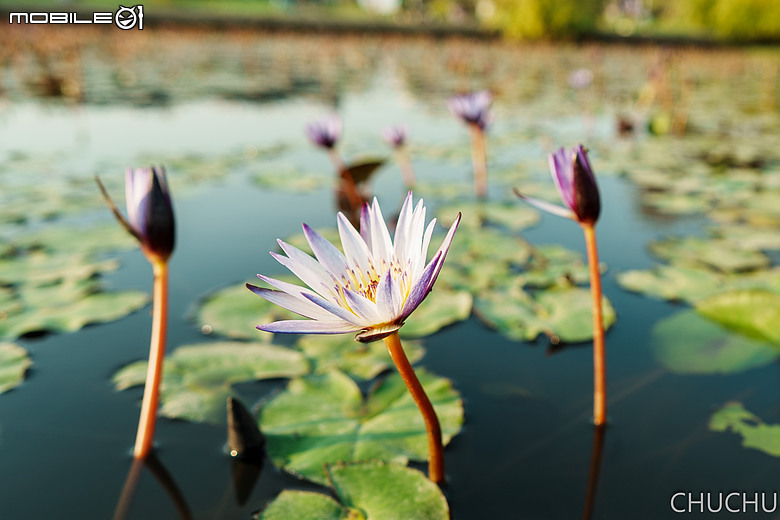 Sony A7C2 與 ZEISS Batis 2/25 的全家出遊記