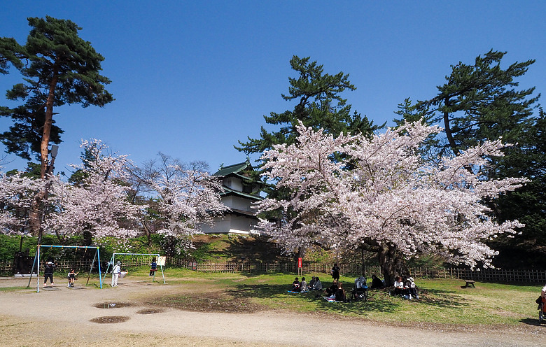 2026_4 仙台，盛岡，青森 櫻花賞。