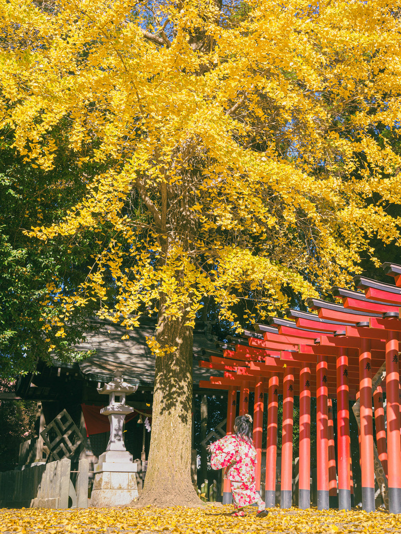 九州之旅 下 OM3+12-100 F4