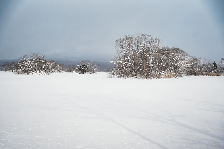 2026 北海道12天小蜜月 (下)『白老町隱藏景點、洞爺湖奢華湖景飯店 & 函館百萬夜景』